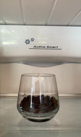 coffee grinds in fridge to neutralise smell