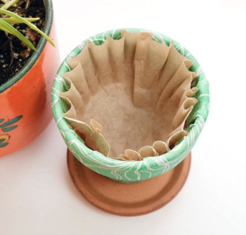 reuse a coffee filter in a pot plant